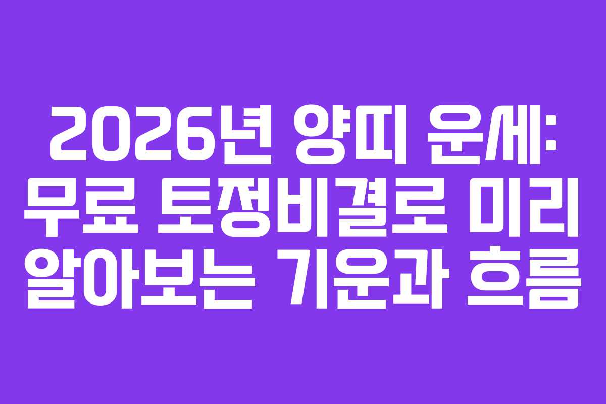2026년 양띠 운세: 무료 토정비결로 미리 알아보는 기운과 흐름