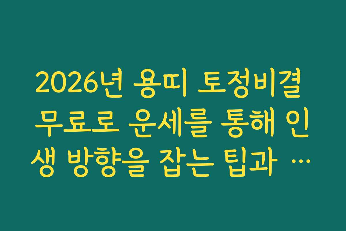 2026년 용띠 토정비결 무료로 운세를 통해 인생 방향을 잡는 팁과 전략
