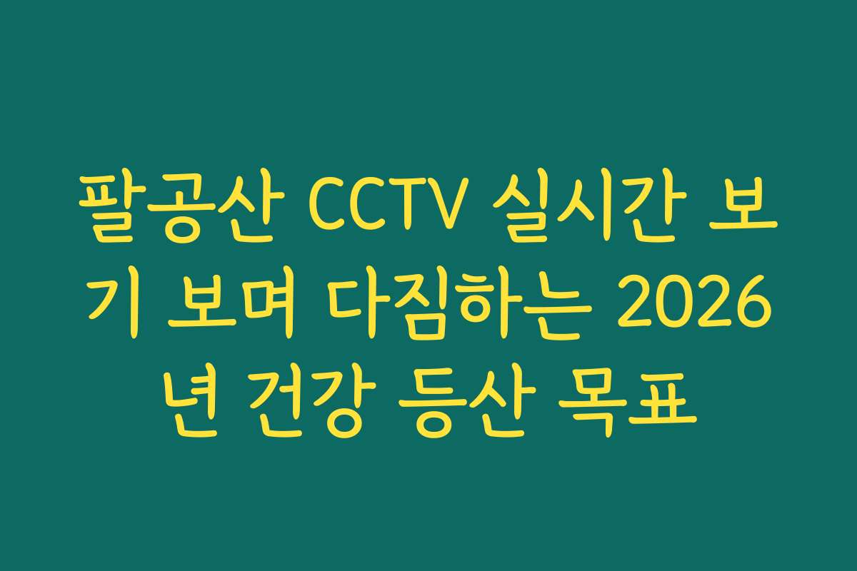 팔공산 CCTV 실시간 보기 보며 다짐하는 2026년 건강 등산 목표