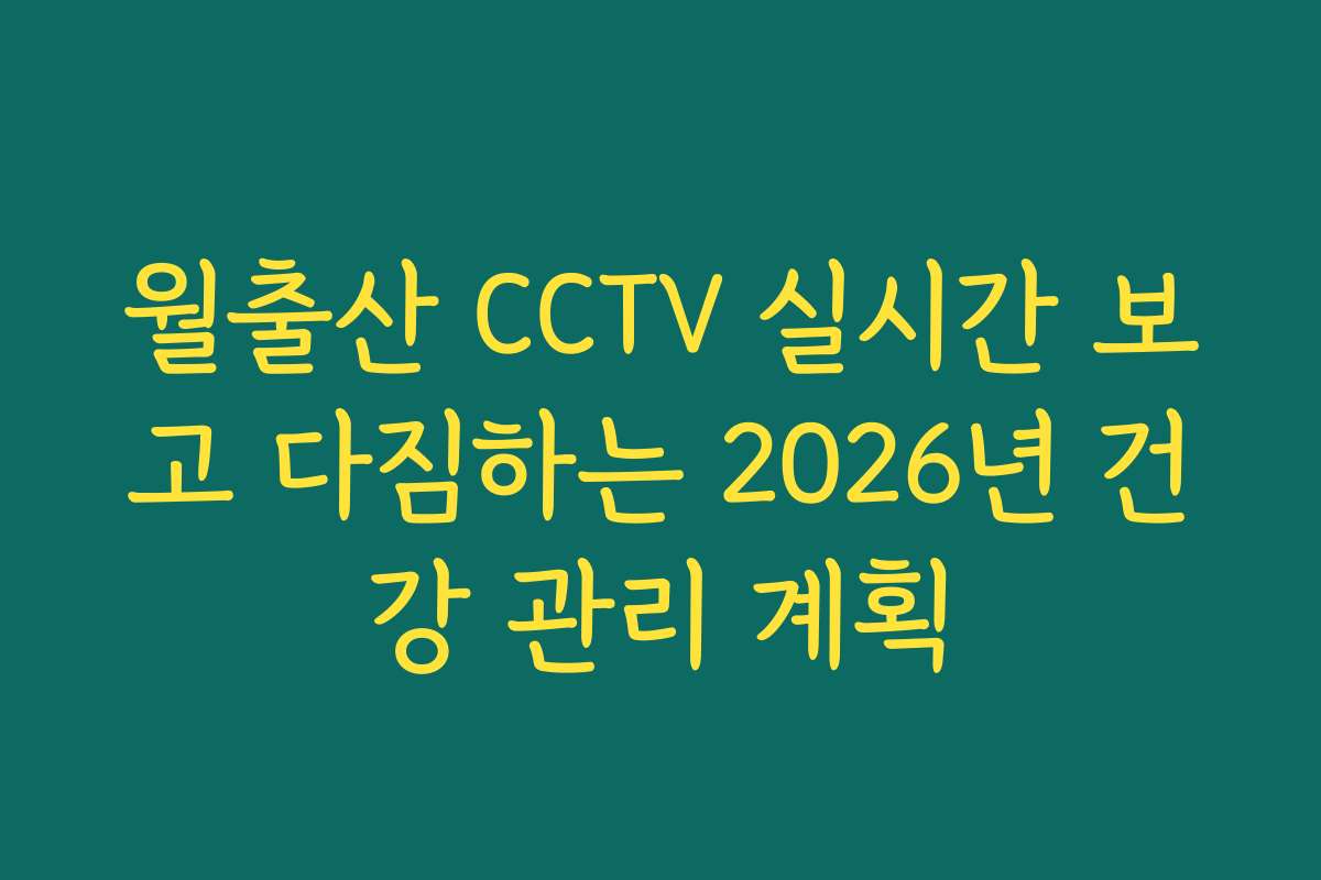 월출산 CCTV 실시간 보고 다짐하는 2026년 건강 관리 계획