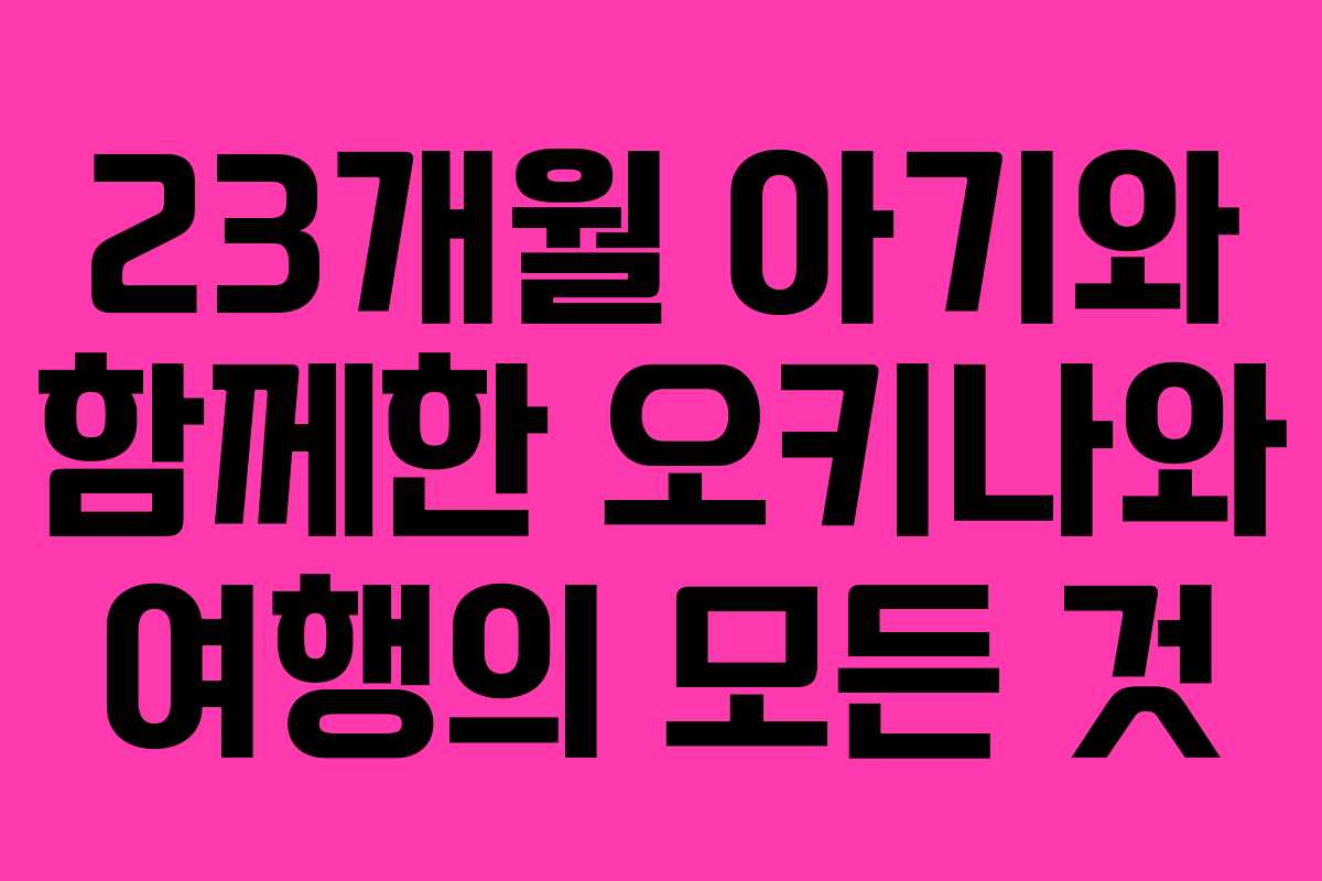 23개월 아기와 함께한 오키나와 여행의 모든 것