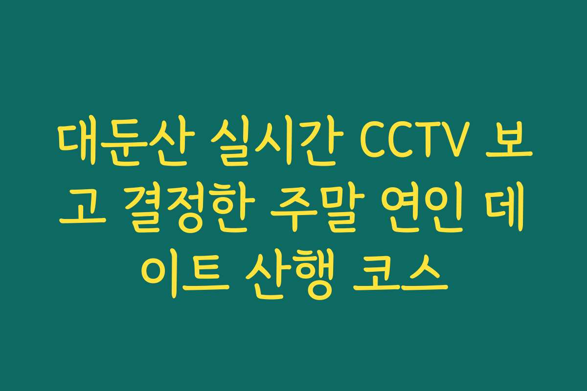 대둔산 실시간 CCTV 보고 결정한 주말 연인 데이트 산행 코스