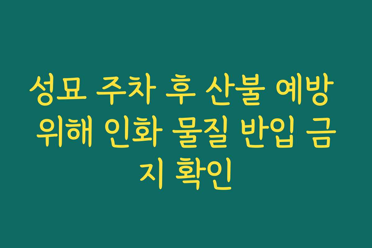 성묘 주차 후 산불 예방 위해 인화 물질 반입 금지 확인