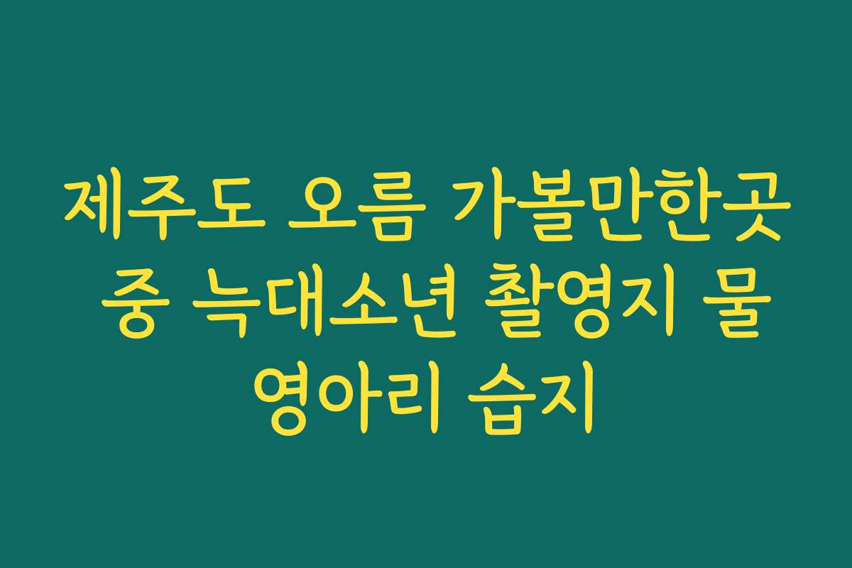 제주도 오름 가볼만한곳 중 늑대소년 촬영지 물영아리 습지