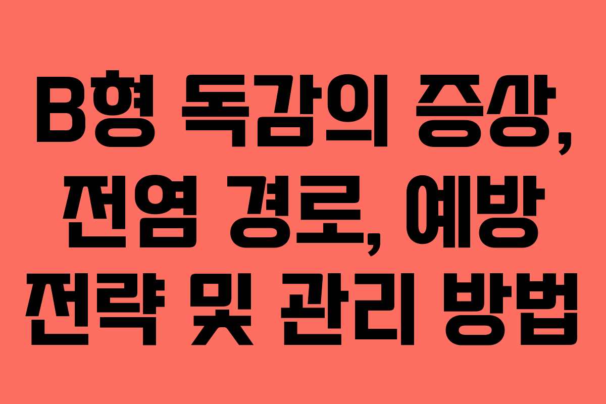 B형 독감의 증상, 전염 경로, 예방 전략 및 관리 방법