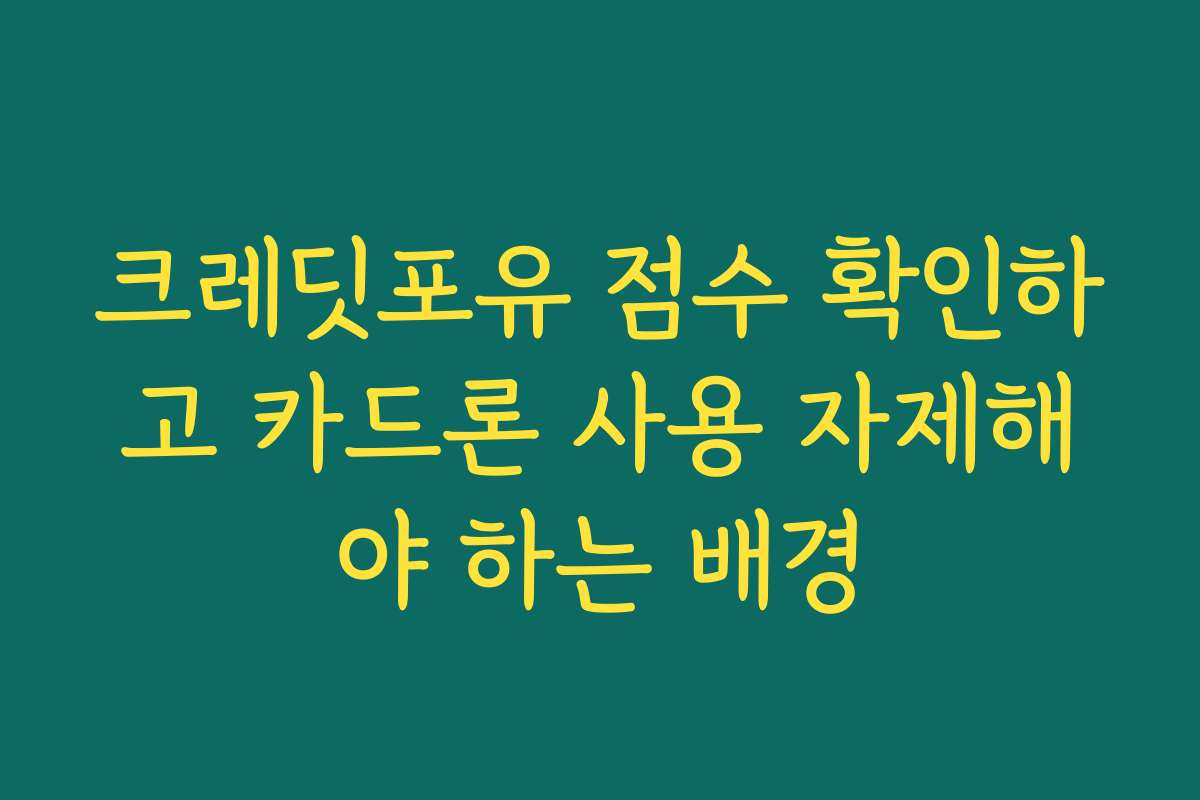 크레딧포유 점수 확인하고 카드론 사용 자제해야 하는 배경