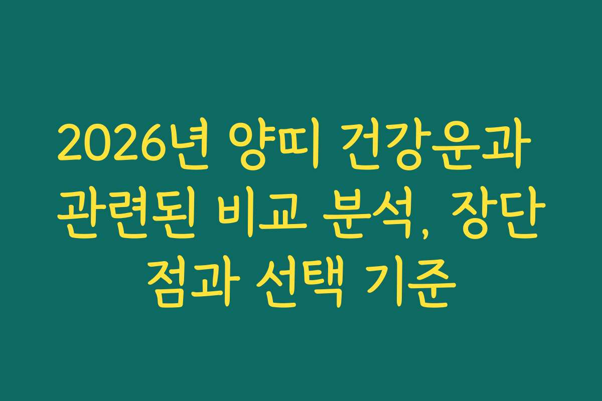 2026년 양띠 건강운과 관련된 비교 분석, 장단점과 선택 기준