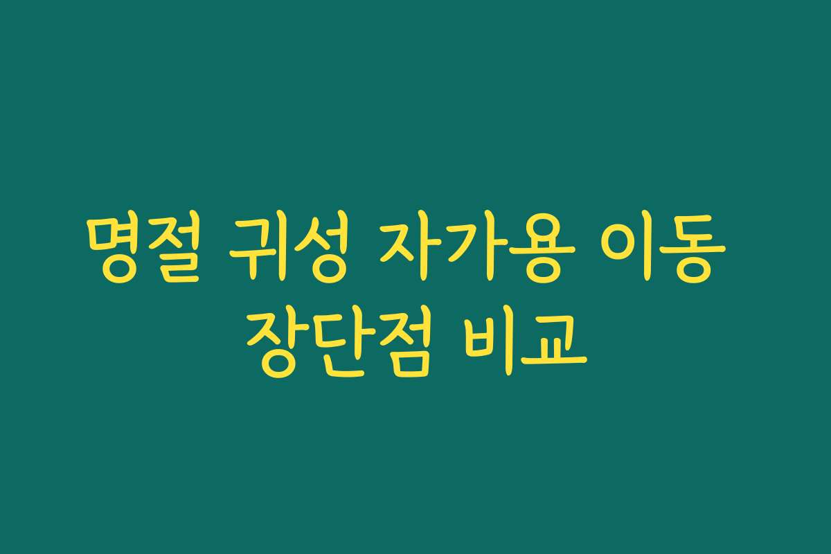 명절 귀성 자가용 이동 장단점 비교