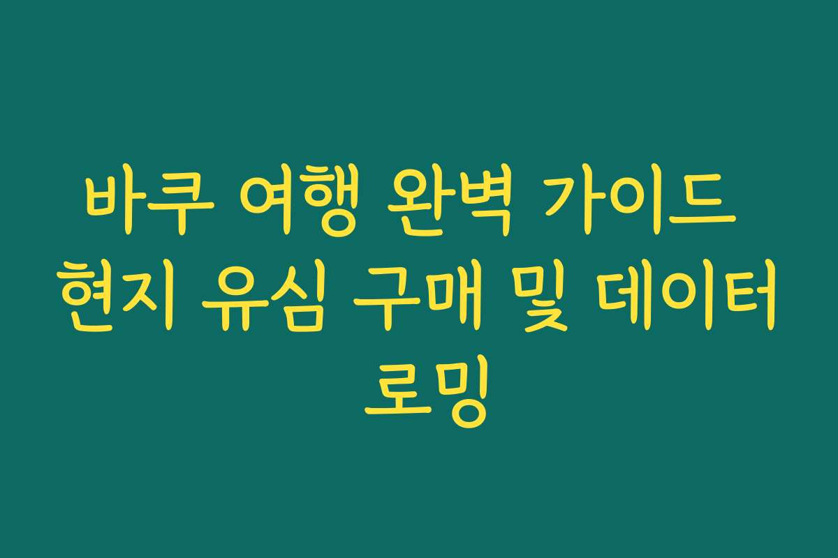 바쿠 여행 완벽 가이드 현지 유심 구매 및 데이터 로밍