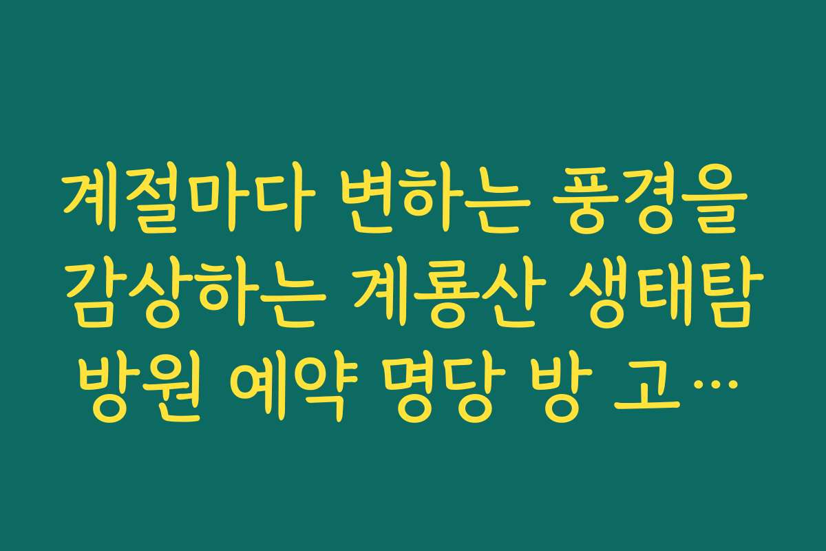 계절마다 변하는 풍경을 감상하는 계룡산 생태탐방원 예약 명당 방 고르기