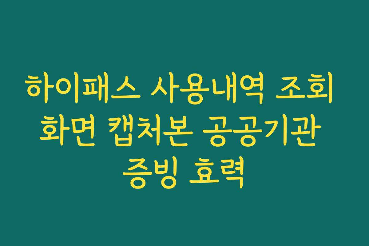 하이패스 사용내역 조회 화면 캡처본 공공기관 증빙 효력
