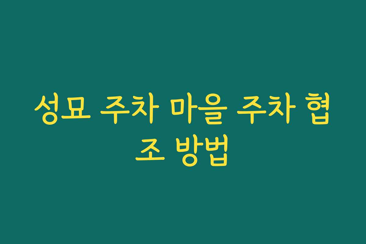 성묘 주차 마을 주차 협조 방법