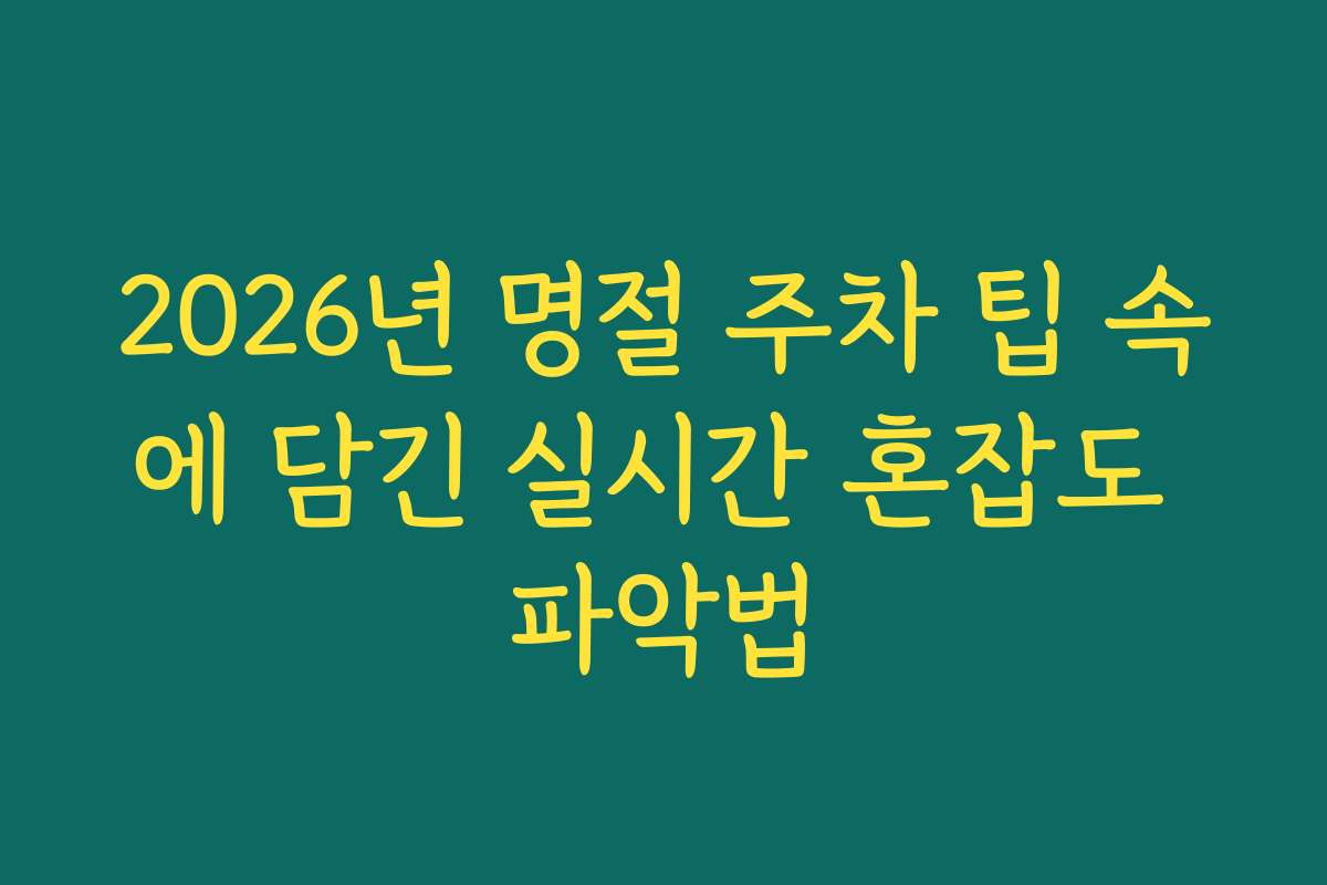 2026년 명절 주차 팁 속에 담긴 실시간 혼잡도 파악법