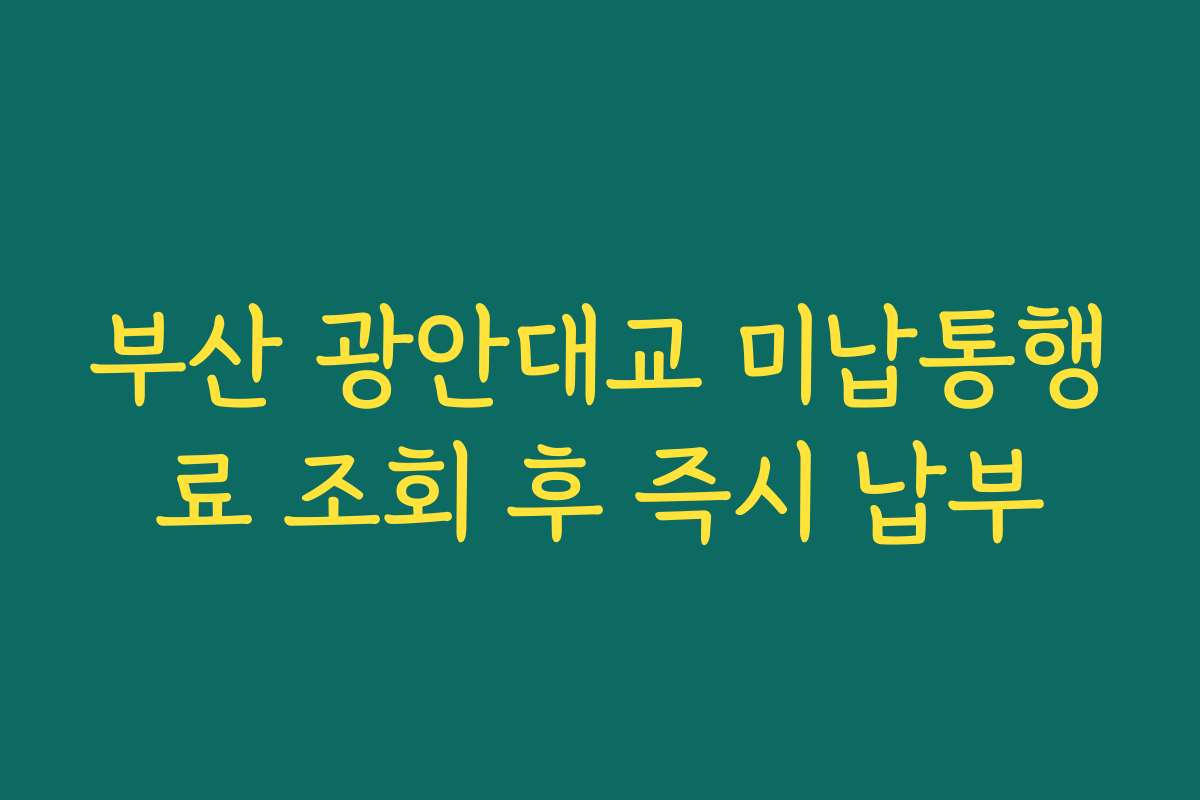 부산 광안대교 미납통행료 조회 후 즉시 납부
