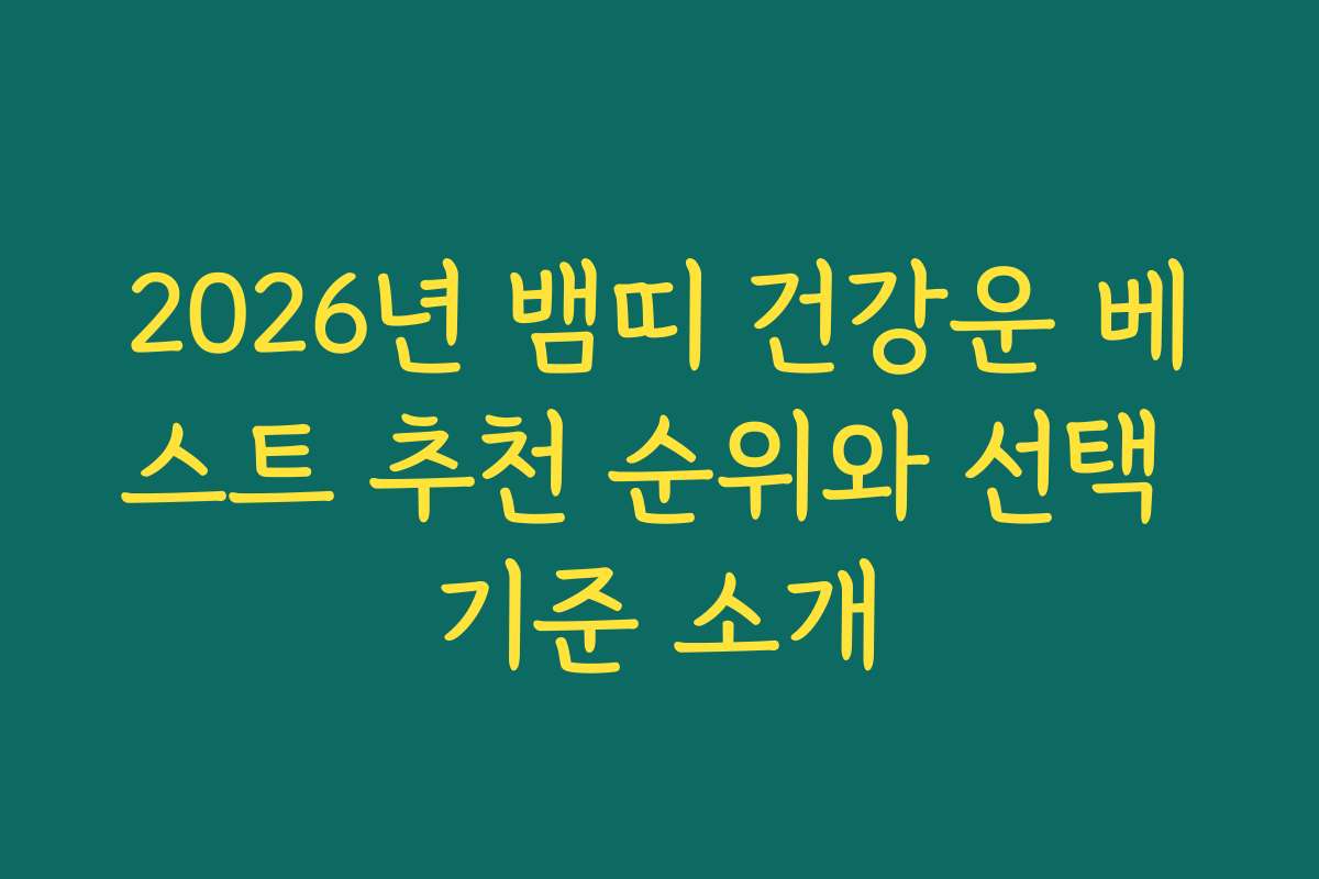 2026년 뱀띠 건강운 베스트 추천 순위와 선택 기준 소개