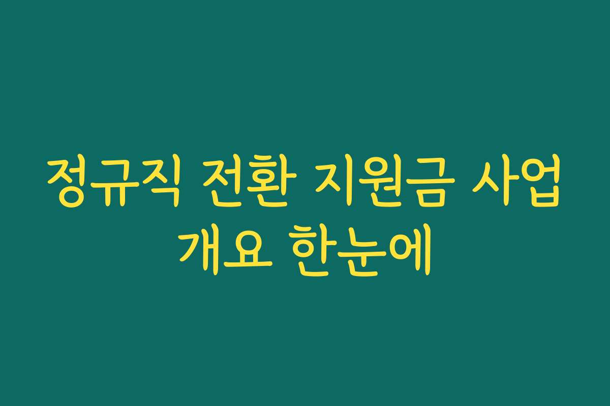 정규직 전환 지원금 사업개요 한눈에