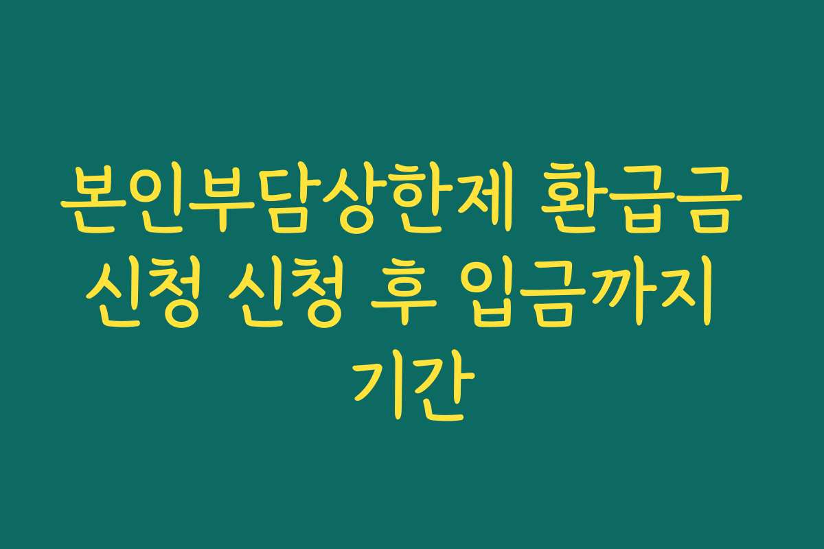 본인부담상한제 환급금 신청 신청 후 입금까지 기간