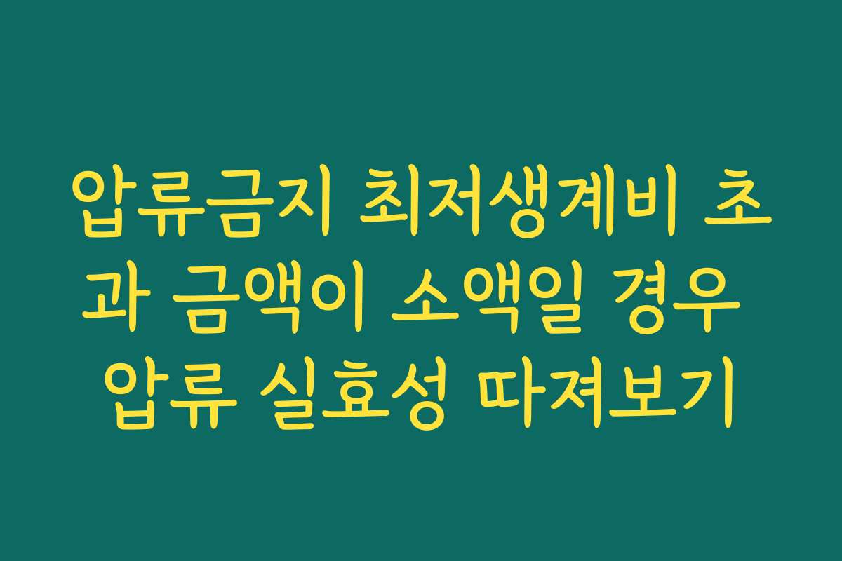 압류금지 최저생계비 초과 금액이 소액일 경우 압류 실효성 따져보기