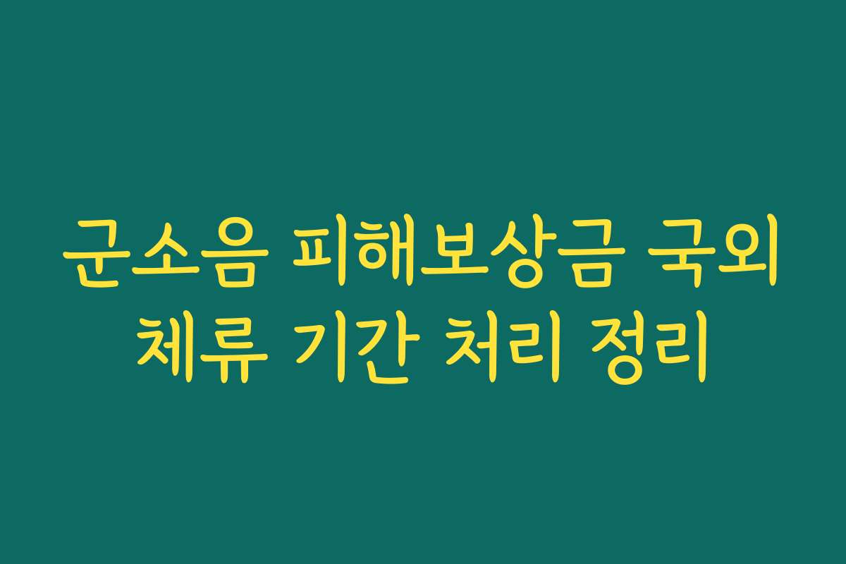 군소음 피해보상금 국외체류 기간 처리 정리