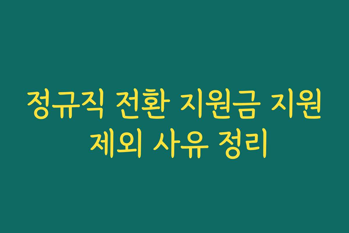 정규직 전환 지원금 지원 제외 사유 정리