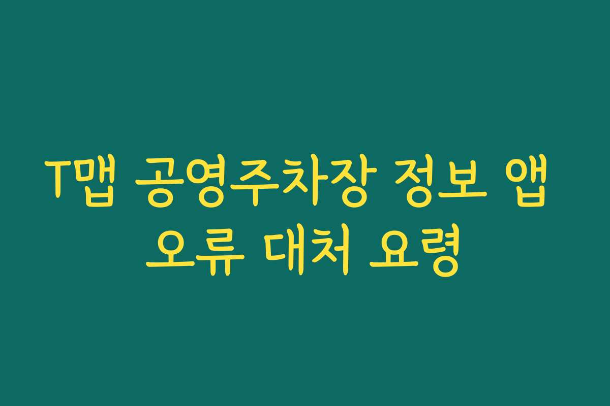 T맵 공영주차장 정보 앱 오류 대처 요령