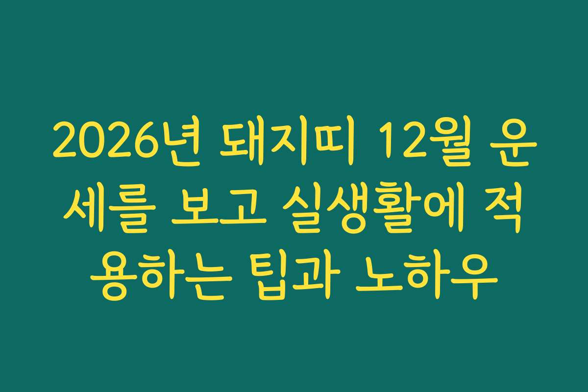 2026년 돼지띠 12월 운세를 보고 실생활에 적용하는 팁과 노하우