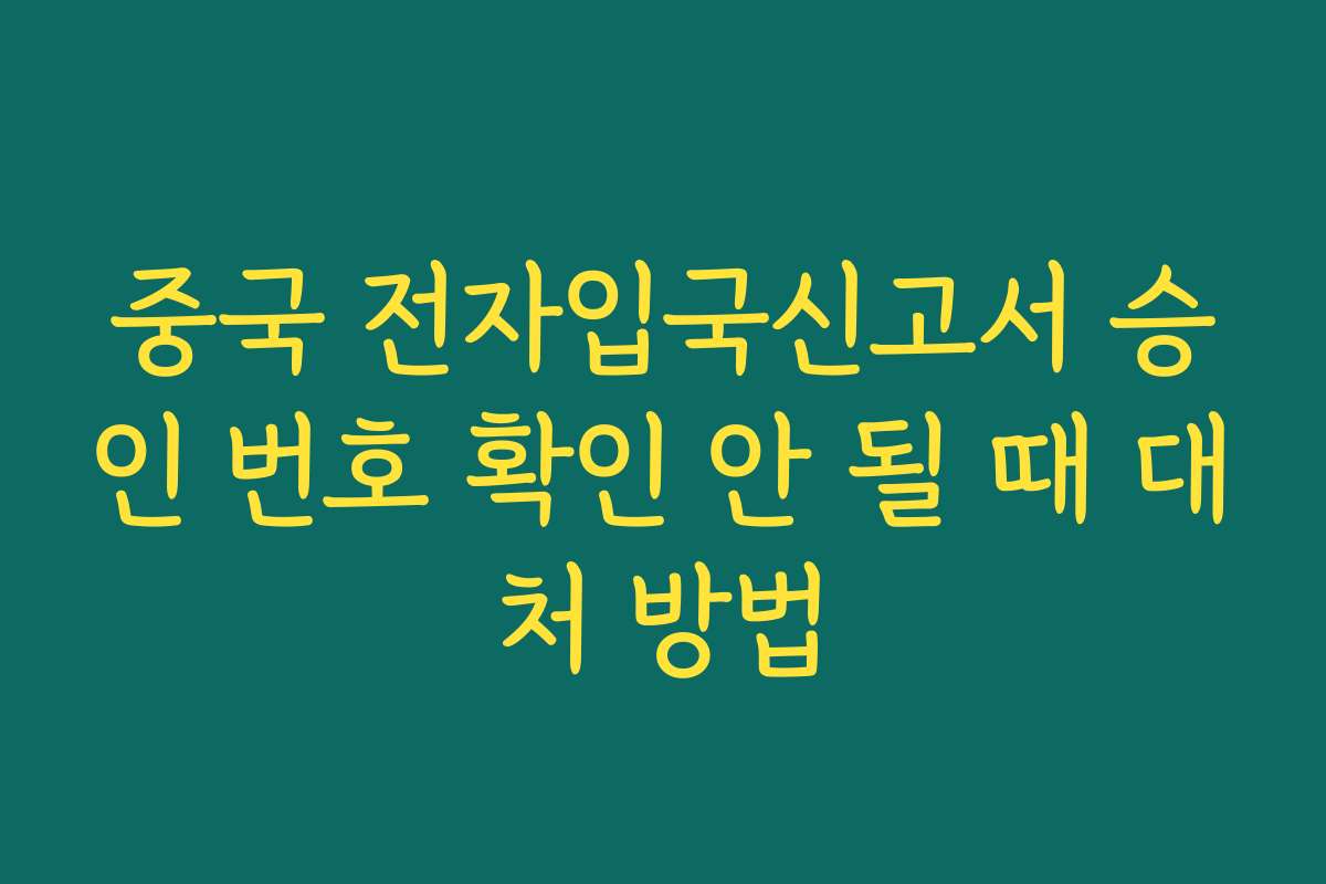 중국 전자입국신고서 승인 번호 확인 안 될 때 대처 방법