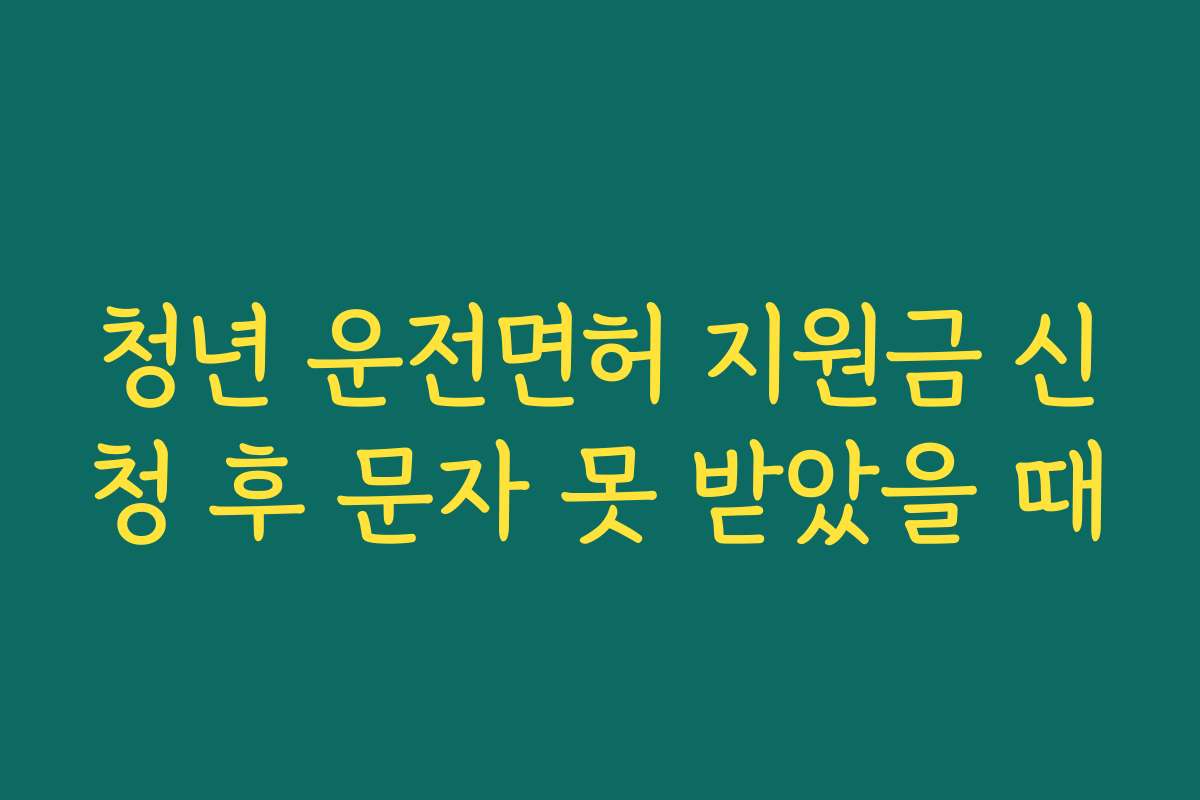 청년 운전면허 지원금 신청 후 문자 못 받았을 때