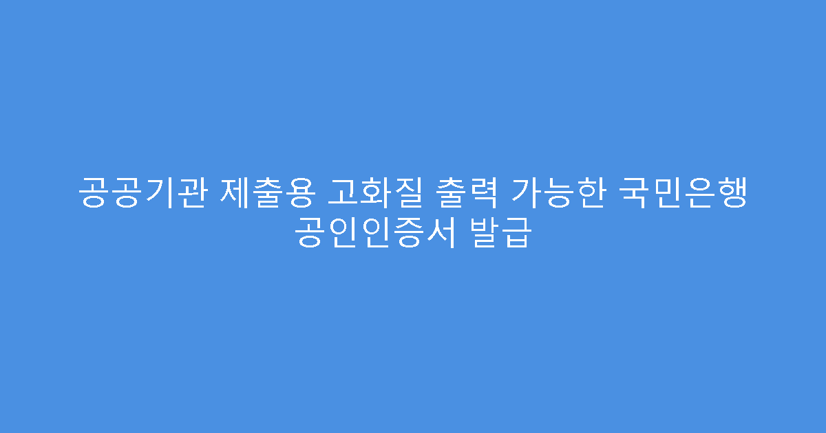 공공기관 제출용 고화질 출력 가능한 국민은행 공인인증서 발급