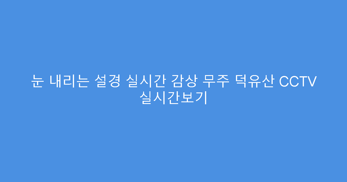 눈 내리는 설경 실시간 감상 무주 덕유산 CCTV 실시간보기