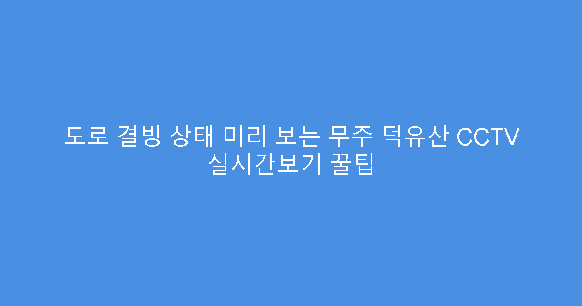 도로 결빙 상태 미리 보는 무주 덕유산 CCTV 실시간보기 꿀팁