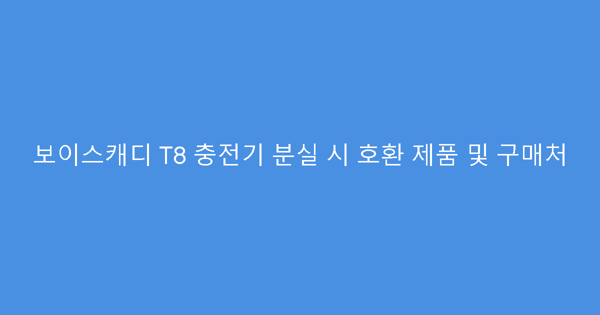 보이스캐디 T8 충전기 분실 시 호환 제품 및 구매처