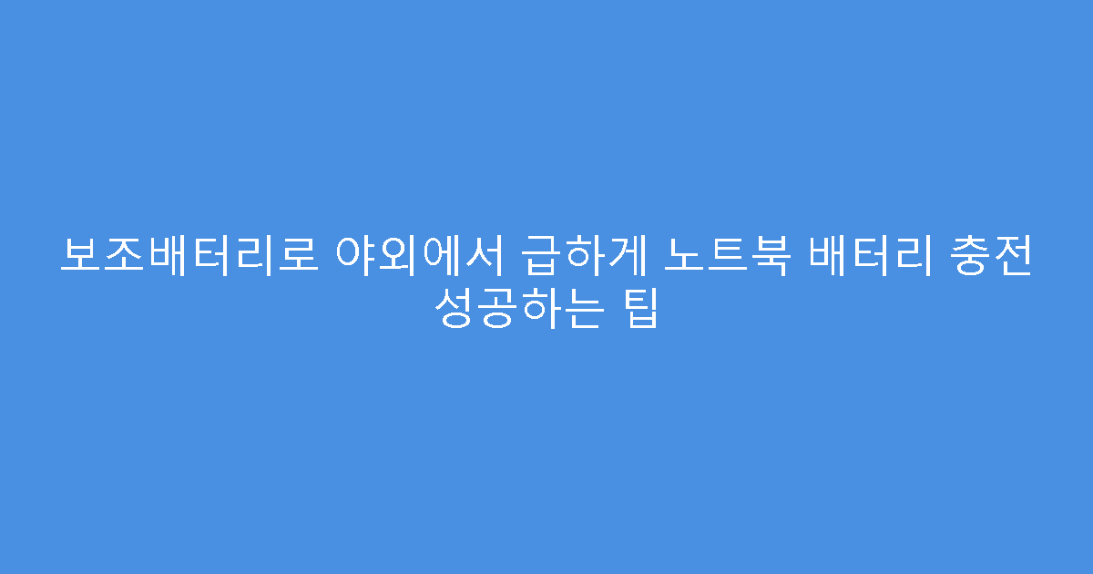 보조배터리로 야외에서 급하게 노트북 배터리 충전 성공하는 팁