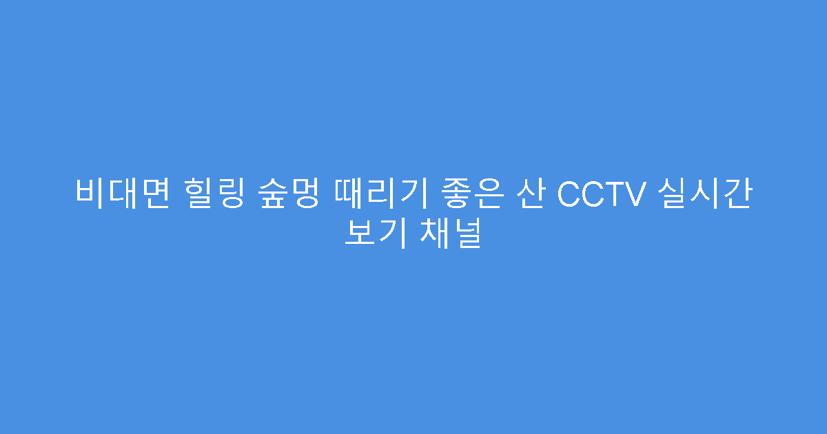 비대면 힐링 숲멍 때리기 좋은 산 CCTV 실시간 보기 채널