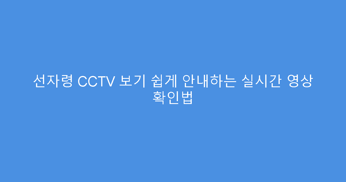 선자령 CCTV 보기 쉽게 안내하는 실시간 영상 확인법