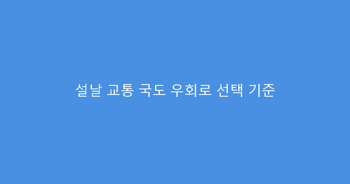 설날 교통 국도 우회로 선택 기준