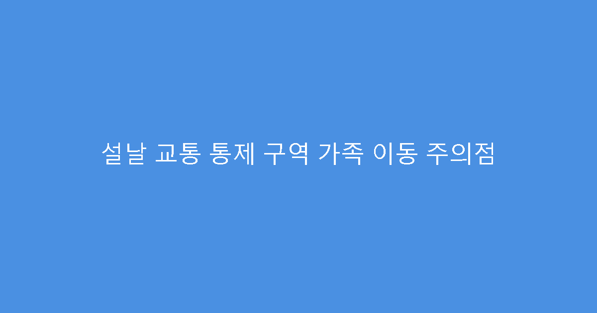 설날 교통 통제 구역 가족 이동 주의점