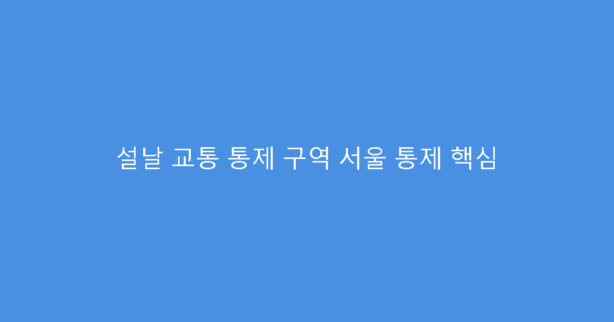 설날 교통 통제 구역 서울 통제 핵심