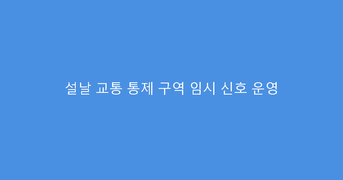 설날 교통 통제 구역 임시 신호 운영