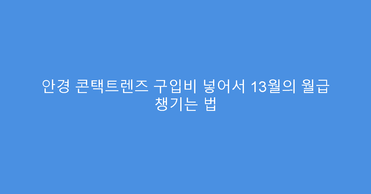 안경 콘택트렌즈 구입비 넣어서 13월의 월급 챙기는 법