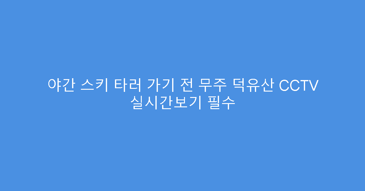 야간 스키 타러 가기 전 무주 덕유산 CCTV 실시간보기 필수