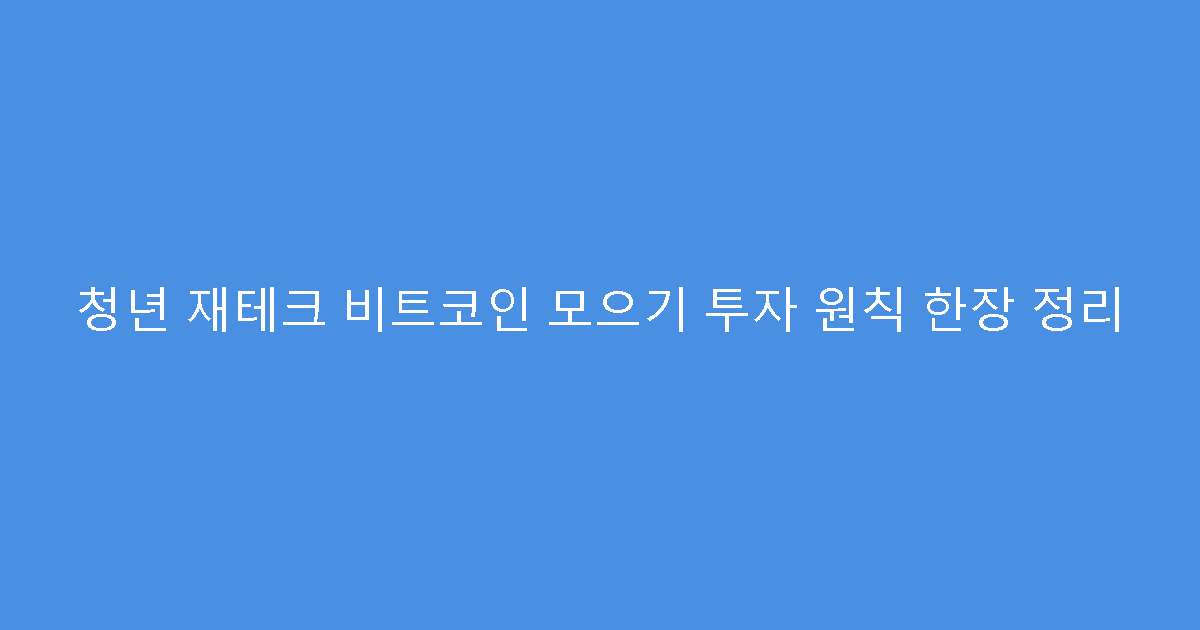 청년 재테크 비트코인 모으기 투자 원칙 한장 정리