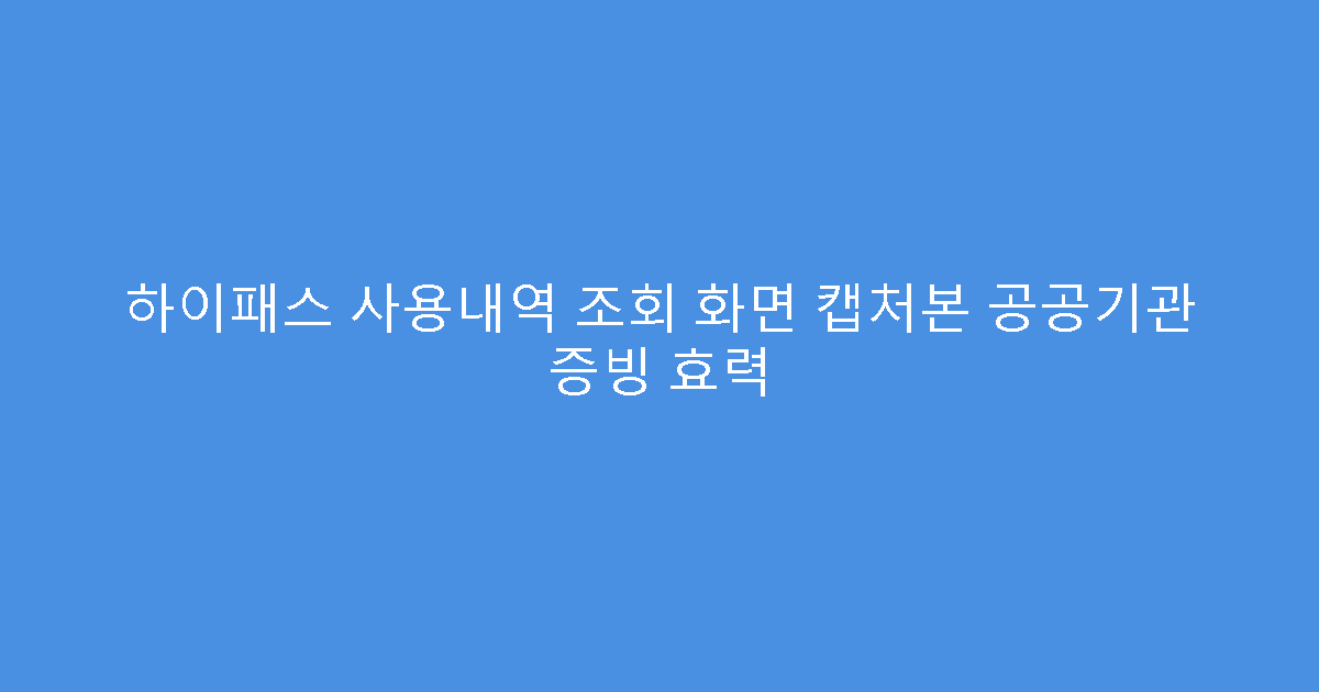 하이패스 사용내역 조회 화면 캡처본 공공기관 증빙 효력