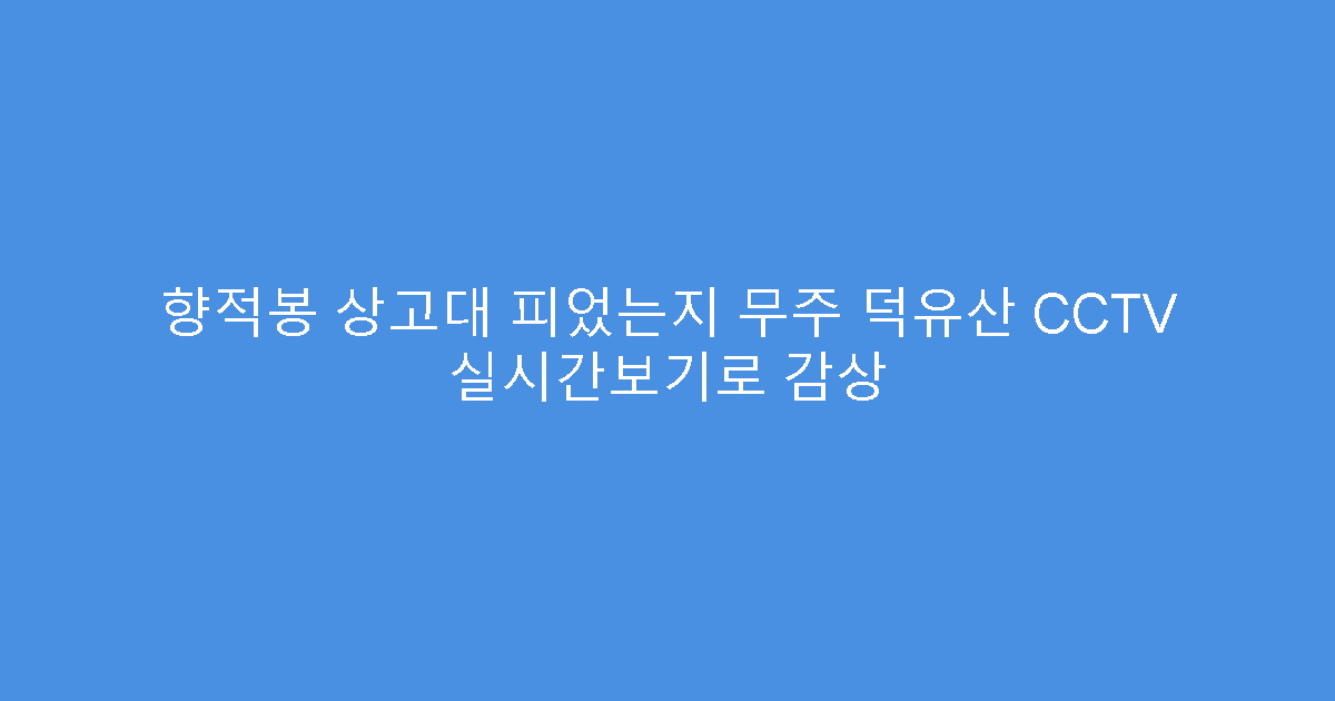 향적봉 상고대 피었는지 무주 덕유산 CCTV 실시간보기로 감상