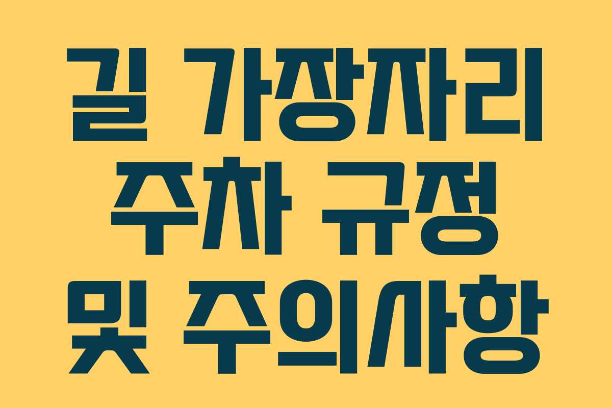길 가장자리 주차 규정 및 주의사항