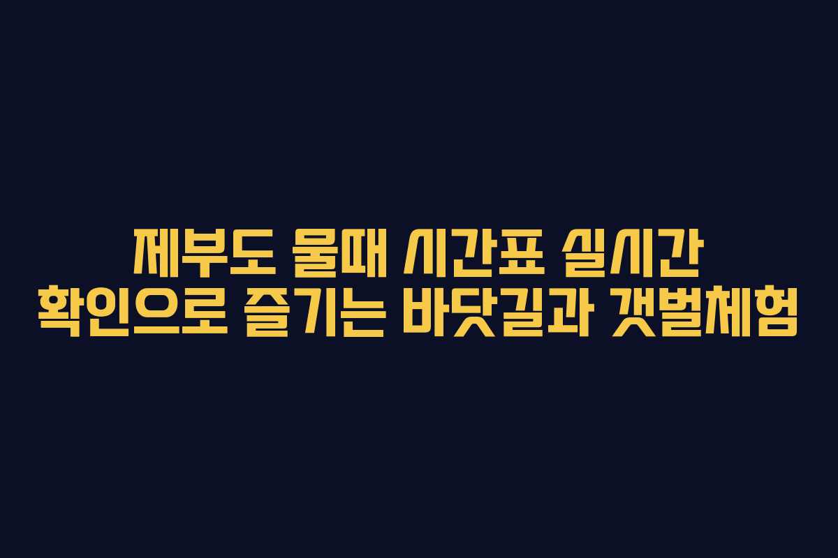 제부도 물때 시간표 실시간 확인으로 즐기는 바닷길과 갯벌체험