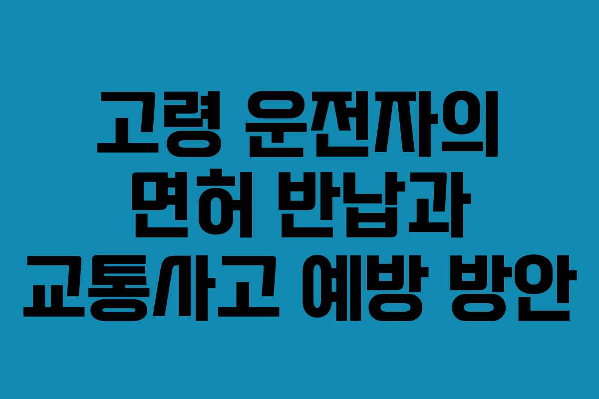 고령 운전자의 면허 반납과 교통사고 예방 방안