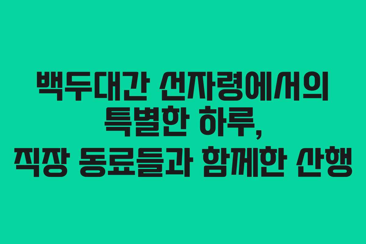 백두대간 선자령에서의 특별한 하루, 직장 동료들과 함께한 산행