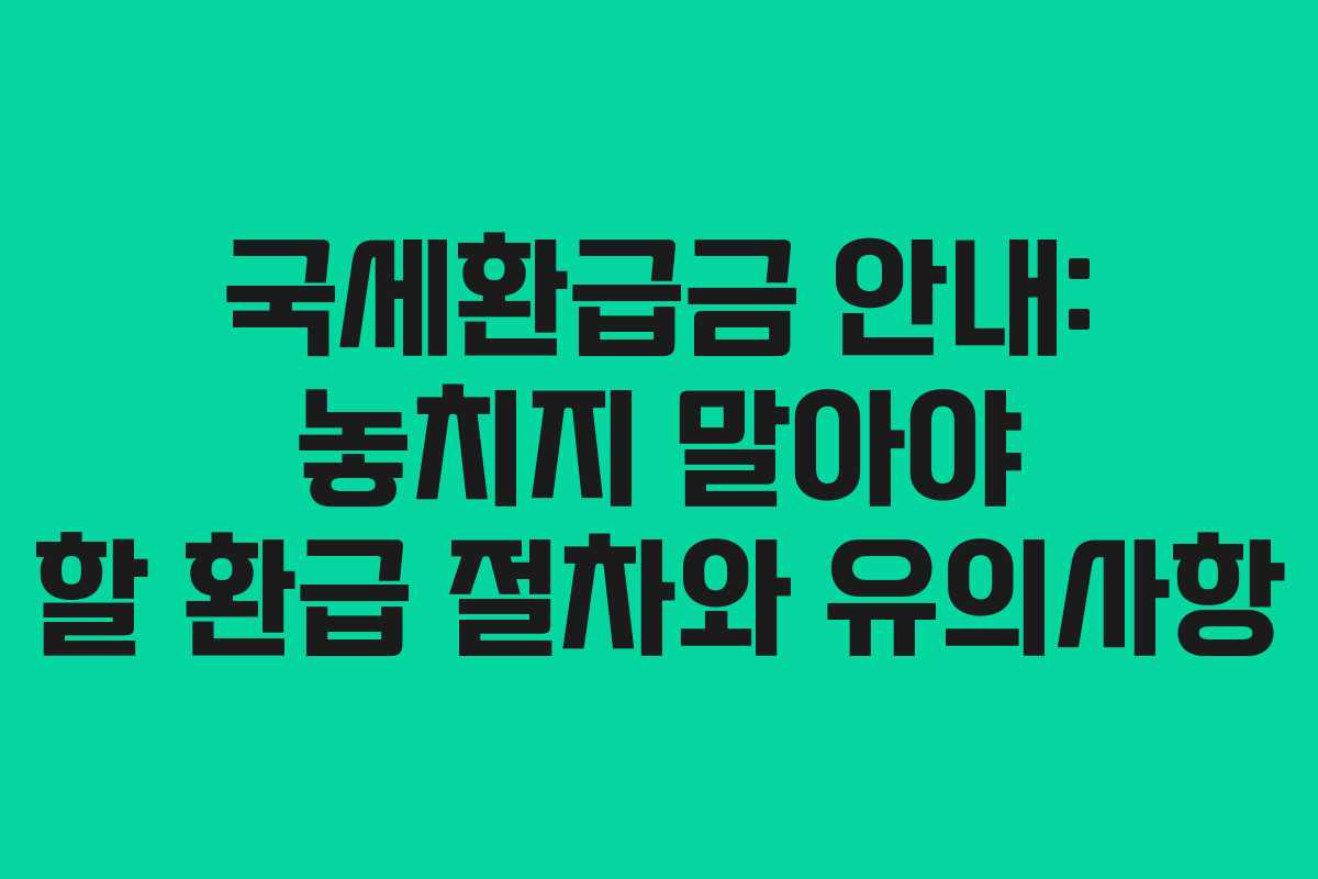 국세환급금 안내: 놓치지 말아야 할 환급 절차와 유의사항