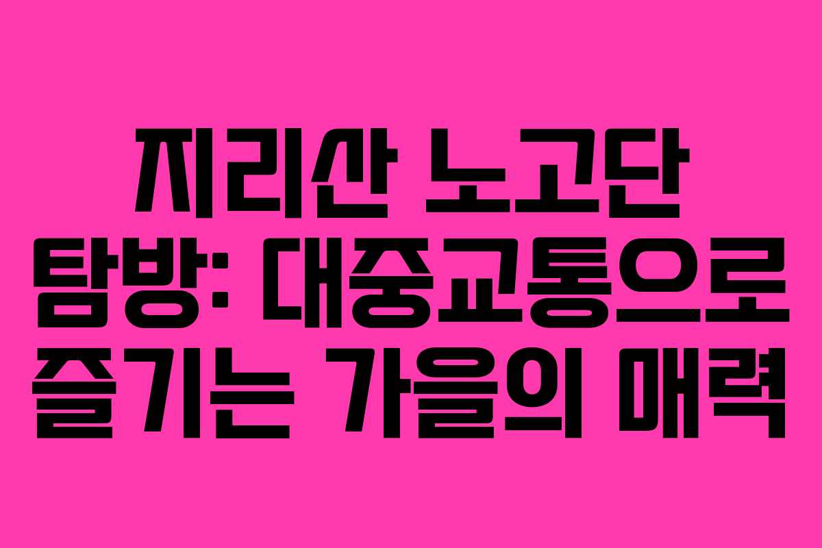 지리산 노고단 탐방: 대중교통으로 즐기는 가을의 매력